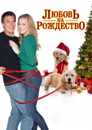 Медиа